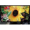 Телевизор Toshiba 50L4353D televizor-toshiba-50l4353d
