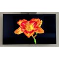 Телевізор LG 55SK9500PLA – Кінотеатр удома з Dolby Atmos і AI-розумом televzor-lg