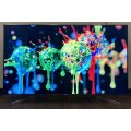 televzor-sony-kd-55xf9005
