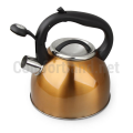Чайник CS Kochsysteme Bonn 2.5 l chaynik-cs-kochsysteme-bonn-2-5-l